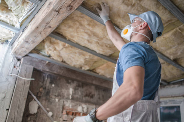 Best Specialized Insulation Services in Union Point, GA
