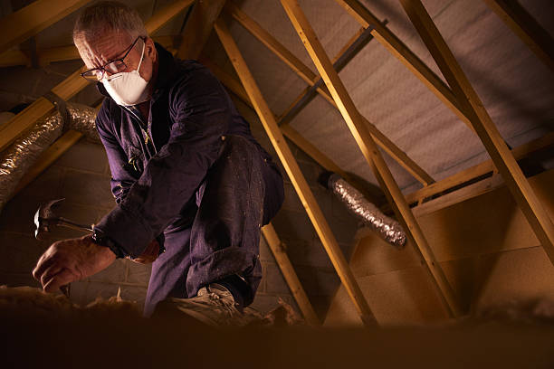 Types of Insulation We Offer in Union Point, GA
